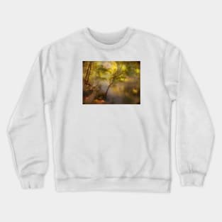 Moonbeam Dream Crewneck Sweatshirt